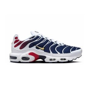 Nike Air Max Plus TN PSG Home Kit