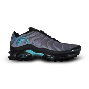 Nike Air Max Plus TN Black Dusty Cactus